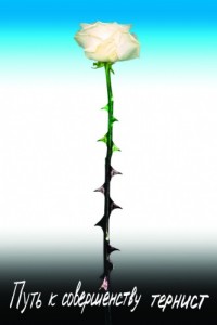 Путь к совершенству Путь к совершенству