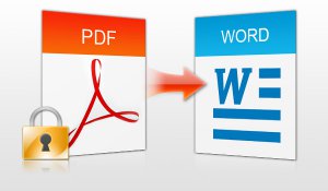   PDF  Word